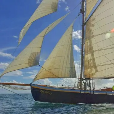 Sortie en Voilier Historique - Golfe du Morbihan et Île d'Houat