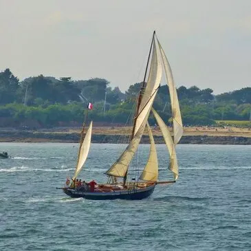 Sortie en Voilier Historique - Golfe du Morbihan et Île d'Houat
