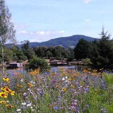 Nuit en Roulotte dans le Limousin