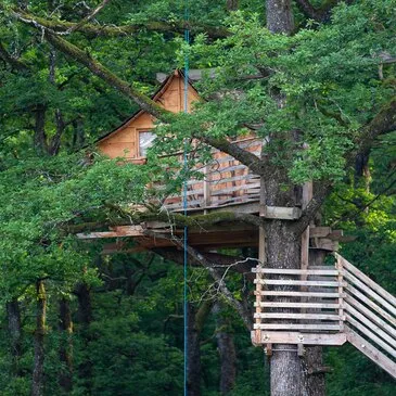 Cabane dans les Arbres à Vittel