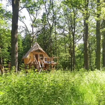 Nuit Insolite en Cabane familiale à Vittel