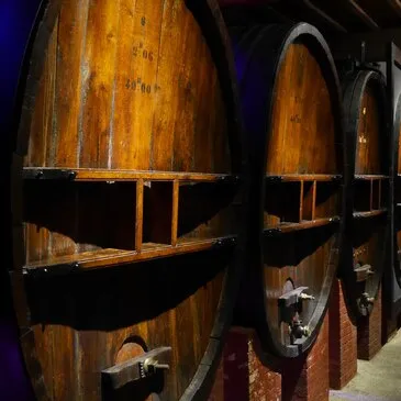 Visite de Cave et Dégustation de Vin à Limoux
