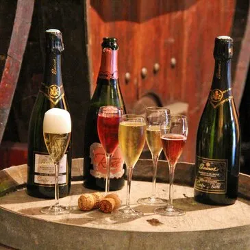 Visite de Cave et Dégustation de Vin à Limoux