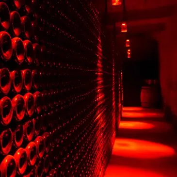 Visite de Cave et Dégustation de Vin à Limoux