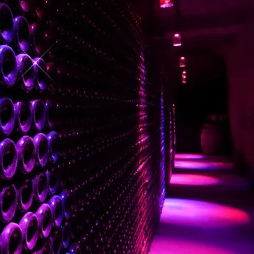 Visite de Cave et Dégustation de Vin à Limoux