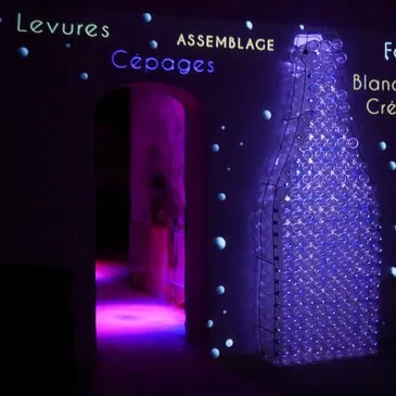 Visite de Cave et Dégustation de Vin à Limoux