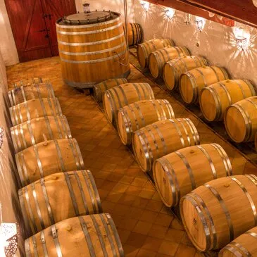 Week-end œnologique près d'Angers