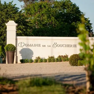 Week-end œnologique près d'Angers