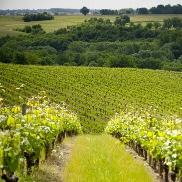 Week-end œnologique près d'Angers