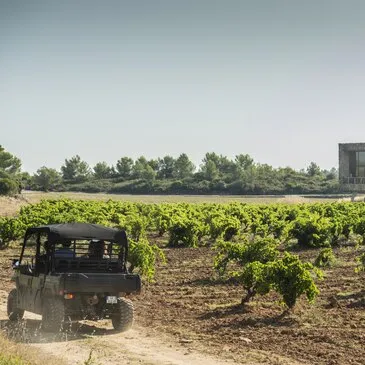 Week end Œnotourisme au Château de Castigno