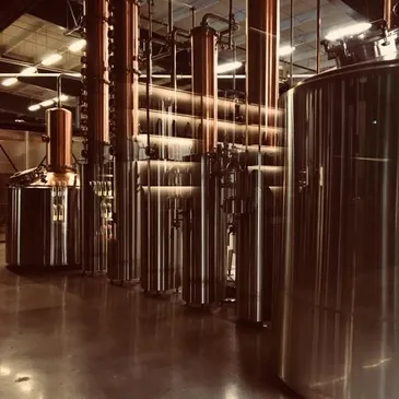 Atelier de Brassage de Bière près de Bordeaux