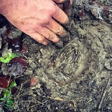 Week-End Stage de Survie près de Bourg-en-Bresse