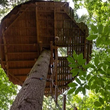 Cabane dans les arbres dans les Monts d'Ardèche