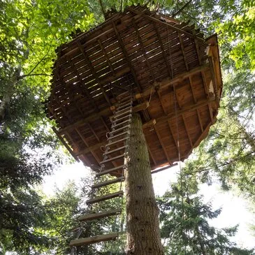 Cabane dans les arbres dans les Monts d'Ardèche