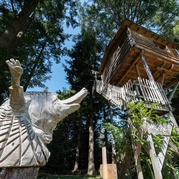 Cabane dans les arbres dans les Monts d'Ardèche