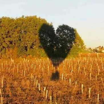 Vol en Montgolfière près de Bordeaux
