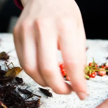 Week-end Stage de Survie près de Versailles