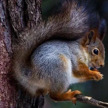 Week-end Stage de Survie près de Versailles