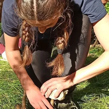 Stage de Survie près de Niort dans le Marais Poitevin
