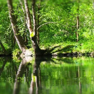 Stage de Survie près de Niort dans le Marais Poitevin