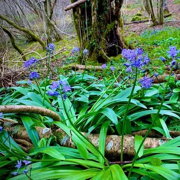 Week-end Stage de Survie près de Mont-de-Marsan