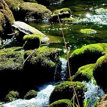 Week-end Stage de Survie près de Mont-de-Marsan