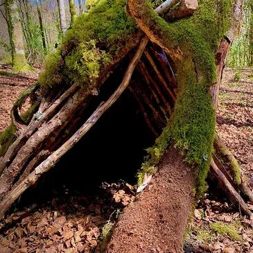 Week-end Stage de Survie près de Mont-de-Marsan