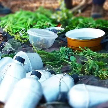 Week-end Stage de Survie près de Mont-de-Marsan