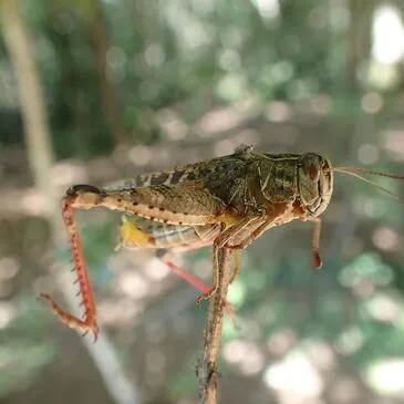 Week-end Stage de Survie près d'Avignon