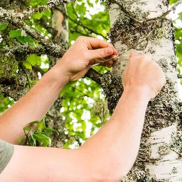 Week-end Stage de Survie dans le Haut-Jura