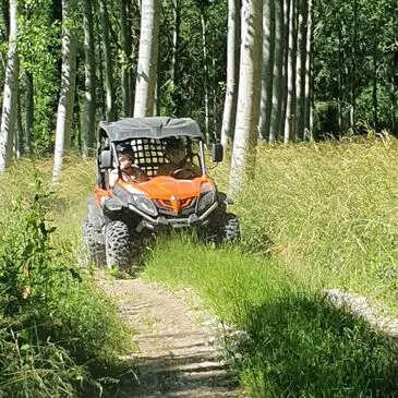 Randonnée en Buggy près de Tours
