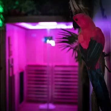 Spa et Massage près de Chessy