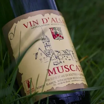 Week-End Œnologique à Obernai