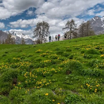 Weekend Stage de Survie à Barcelonnette - Vallée de L'Ubaye