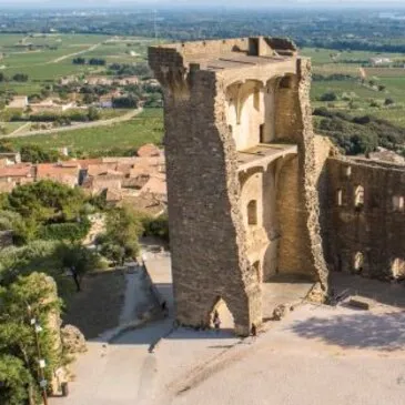 Balade Œnotouristique à Châteauneuf-du-Pape