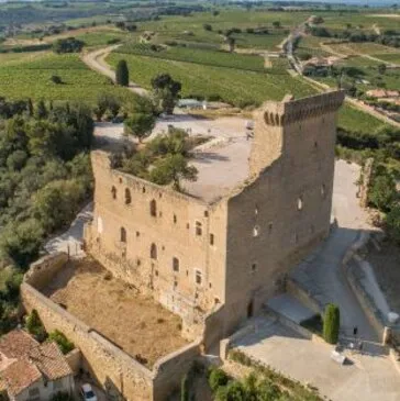Balade Œnotouristique à Châteauneuf-du-Pape