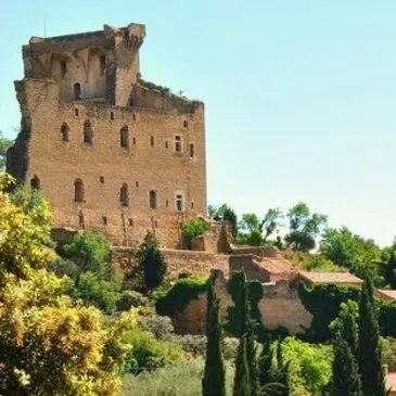 Balade Œnotouristique à Châteauneuf-du-Pape