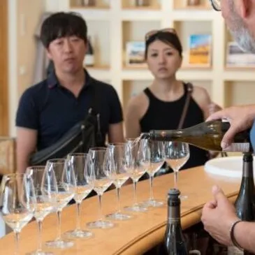 Balade Œnotouristique à Châteauneuf-du-Pape