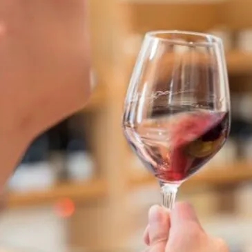 Balade Œnotouristique à Châteauneuf-du-Pape