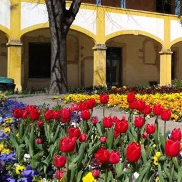 Balade Culturelle et Dégustation de Vins à Châteauneuf-du-Pape