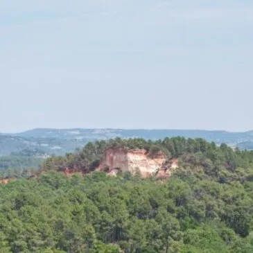 Balade Culturelle et Dégustation de Vins à Châteauneuf-du-Pape