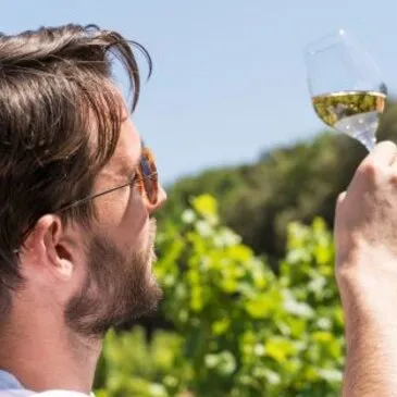 Balade Culturelle et Dégustation de Vins à Châteauneuf-du-Pape