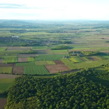 Baptême de l'air en Avion de Légende à la Ferté-Alais