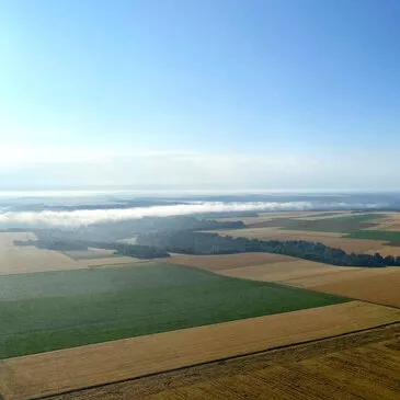Baptême de l'air en Avion de Légende à la Ferté-Alais