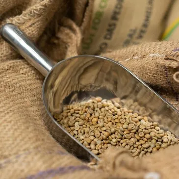 Atelier de Caféologie près de Lyon