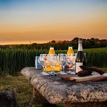 Vol en Montgolfière à Toul