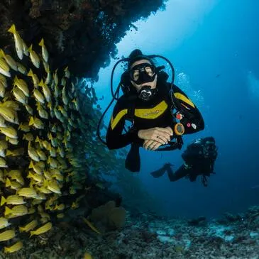 Brevet de Plongée de Niveau 1 près de Lens