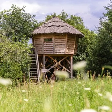 Cabane dans les Arbres avec Spa près d'Auch