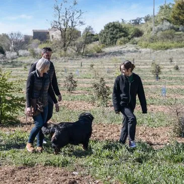 Atelier Dégustation de Truffes près de Pierrelatte