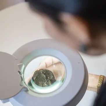 Atelier Dégustation de Truffes près de Pierrelatte
